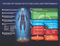 Show details for Neurotech A2 (US) Size Wall Poster